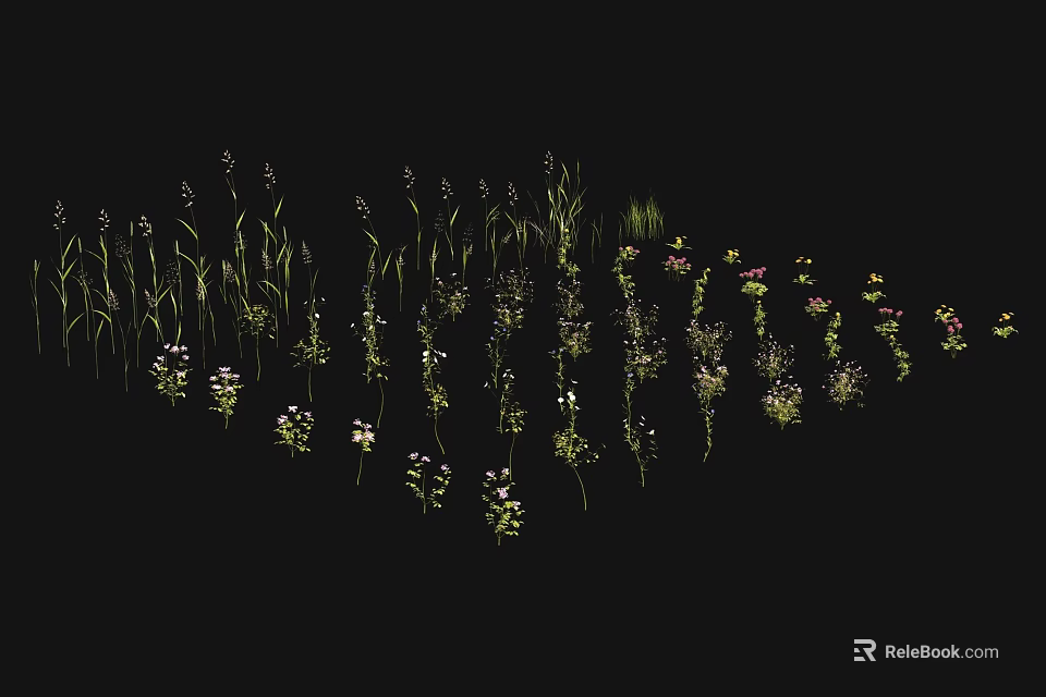 Colorful Wildflowers And Green Grasses In Natural Meadow With Various Flora 3d model 