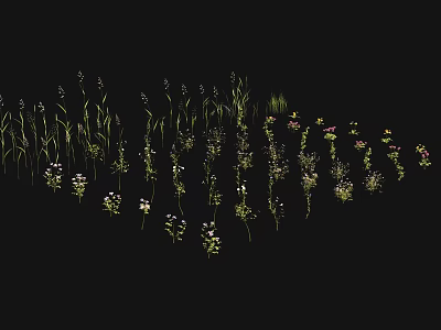Colorful Wildflowers And Green Grasses In Natural Meadow With Various Flora 3d model