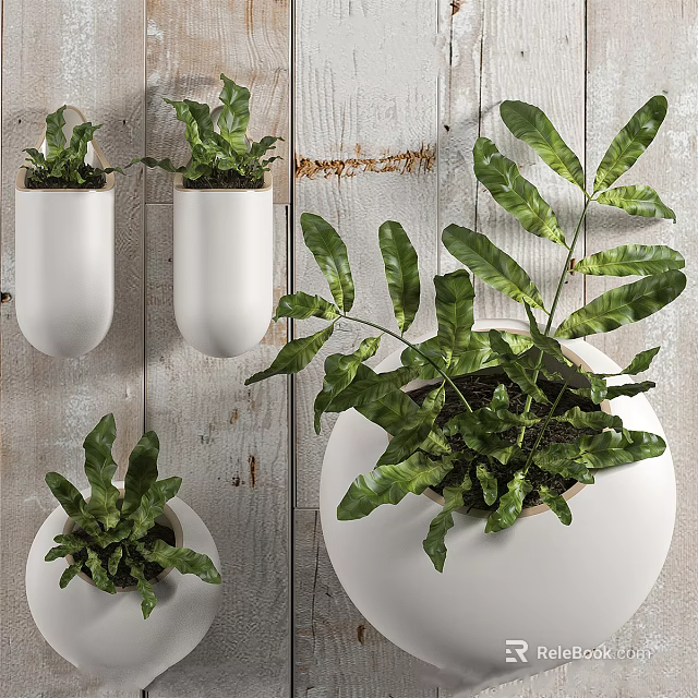 White Hanging Planters With Lush Green Ferns On Indoor Wooden Wall 3d model 