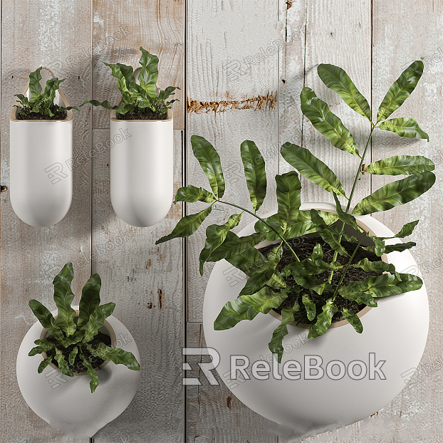 Modern hanging basket plant model