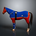 Brown Horse In Blue Blanket With Leg Wraps Yellow Trim And Straps