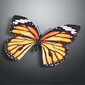 Monarch Butterfly With Orange And Black Wings And White Spots On Gray Background