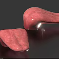 Two Pink Irregularly Shaped Tongue Models With Textured Surface Against Black Background 3d model