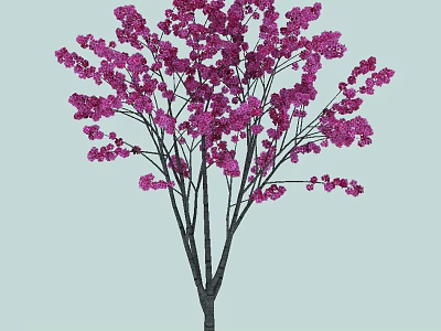 Beautiful Tree With Pink Flowers And Many Branches Dense Blooms Light Blue Background 3d model