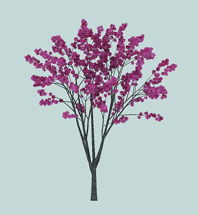 Modern Flower Tree Cherry Blossoms 3d model