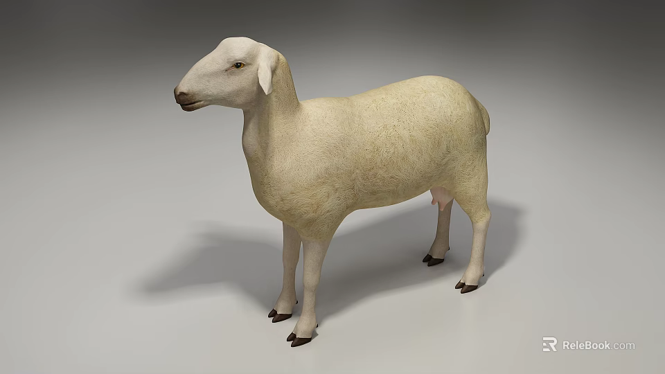 White Reptile Model Standing On Gray Background With Realistic Texture Details 3d model 