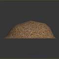 Round Brown Dried Plant Hay With Silver Fringed Edge Isolated On Dark Background