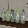 Glass Vases with Fresh Herbs and Leafy Plants on Wooden Shelf Against White Slatted Wall