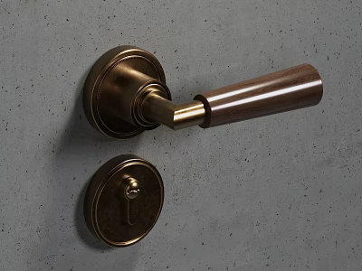 Brass Door Handle with Round Rosette and Long Lever on Gray Concrete Wall 3d model