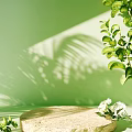 E-commerce Display Stand On Green Background With Green Plant Leaves White Flowers And Leaf Shadows