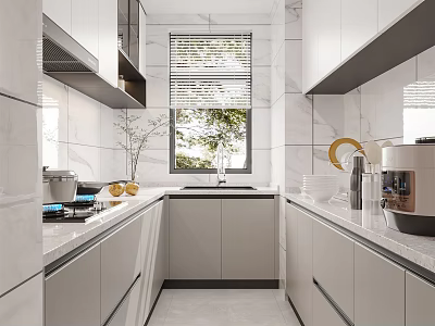 Modern Kitchen Interior Design With White Cabinets Marble Countertop And Green Plants 3d model