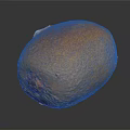 Fresh Ripe Kiwi Fruit With Fuzzy Brown Skin On Dark Background