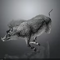 Gray Wild Boar With Mane Running On Black Background 3D Model With Reflection 3d model