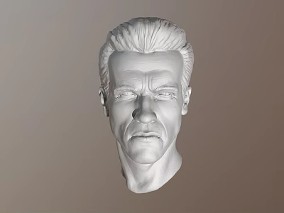 Realistic 3D Male Character Head Model Human Figure Sculpture Design Artwork 3d model