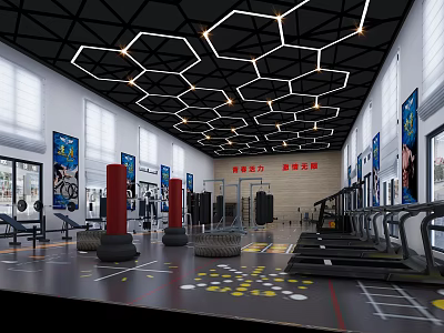 Modern Fitness Gym Interior Design With Hexagonal Ceiling Lights Treadmills Tyres And Punching Bags 3d model