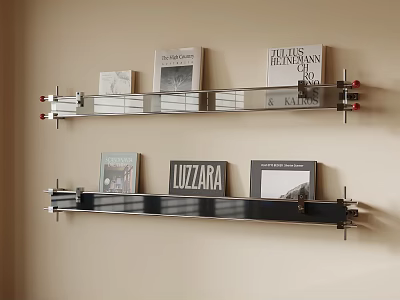 Stylish Modern Wall Mounted Metal Glass Bookshelf With Decorative Books On 3d model