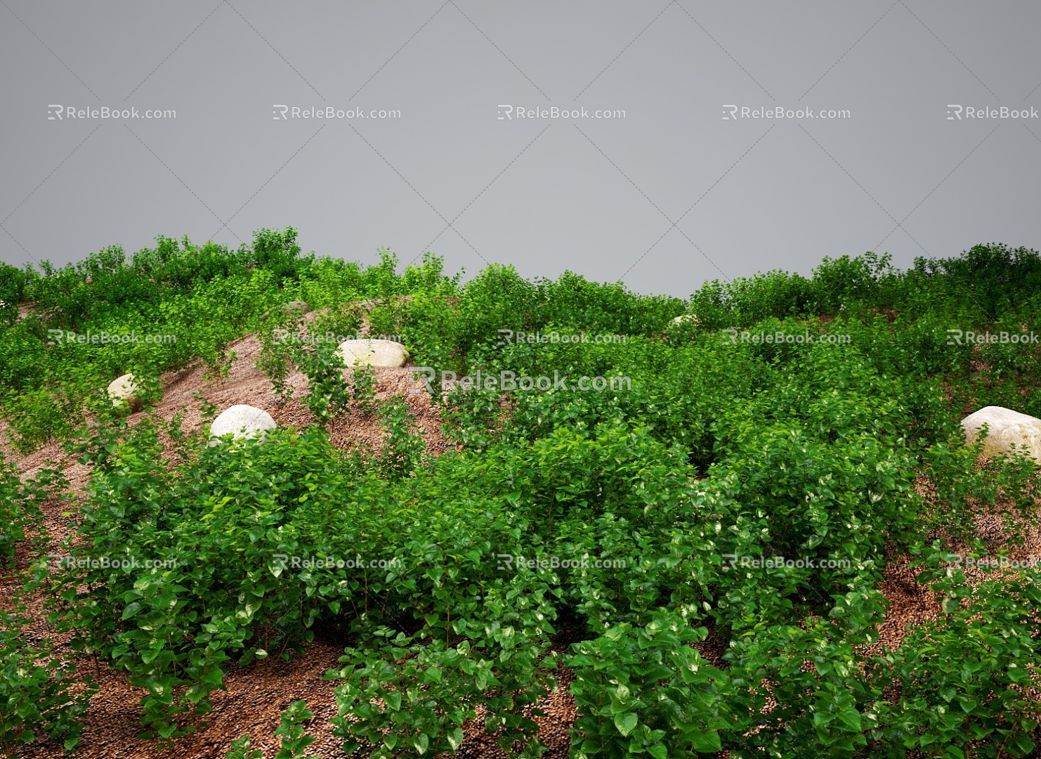 Modern Grassland Shrubs Grass Green Plant Shrubs 3d model