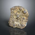 Natural Stone and Wood Decorative Item with Rough Textured Surface and Organic Shape
