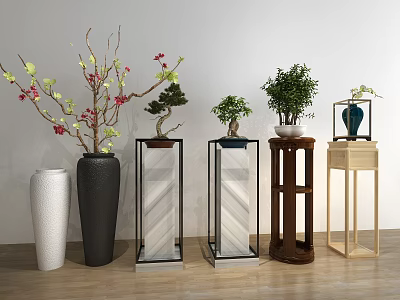 Bonsai Potted Plants On Various Designed Plant Stands For Indoor 3d model