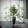 Lush Green Bonsai Plant With Graceful Branches In Modern Ceramic Pot Indoor Decor