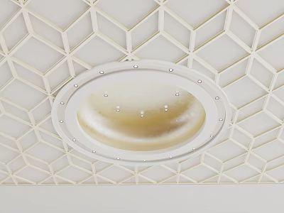 Modern Ceiling With Geometric Grid Design Circular Light And Small Lights 3d model