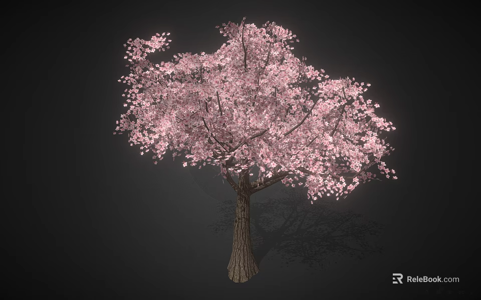 Pink Flowering Tree with Abundant Pink Blossoms in Full Bloom against Dark Background 3d model 