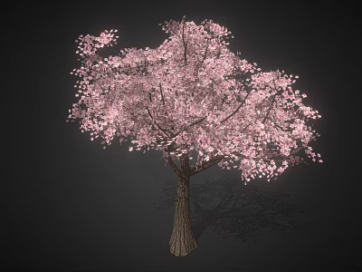 Pink Flowering Tree with Abundant Pink Blossoms in Full Bloom against Dark Background 3d model