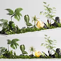 Indoor Plant Combination With Ferns Monstera Leaves Palm Plants Rocks Pebbles And Glowing Sphere