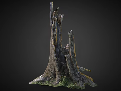 Weathered Tree Trunk With Rough Bark And Mossy Base Structure 3d model