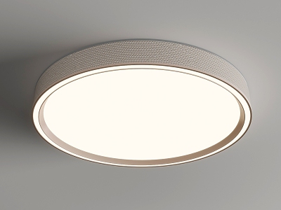 Ceiling lamp model