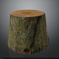 Natural Tree Stump with Cross Section Growth Rings and Green Moss on Dark Background