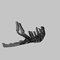 Detailed Light Brown Animal Jawbone Skeletal Specimen on Gray Background
