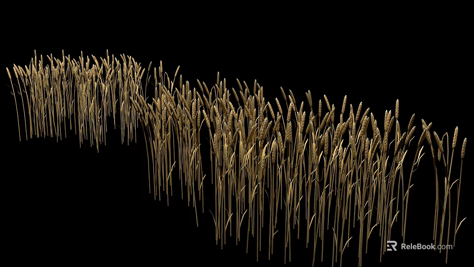 Golden Wheat Ears Garden Landscape With Black Background And Natural Design 3d model 
