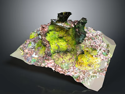 Natural Landscape Model With Green Moss Colorful Ground And Black Rocks 3d model