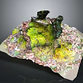 Natural Landscape Model With Green Moss Colorful Ground And Black Rocks