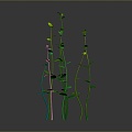 Water plants, various water plants, animals, realistic animals 3d model