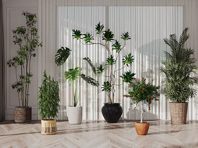 Various Decorative Indoor Potted Plants With Different Planters In Bright Home Space 3d model