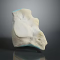 White And Light Blue Irregular Object With Textured Surface And Smooth Glossy Finish Display Piece