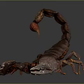 Realistic Brown Scorpion with Large Claws and Segmented Exoskeleton on Dark Surface 3d model