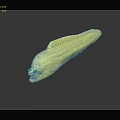 Yellow Eel With Blue Eyes On Shiny Black Reflective Surface 3d model