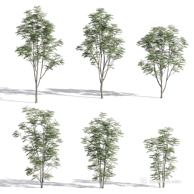 Different Arbor Varieties With Lush Green Leaves And Natural Trunk Structure 3d model
