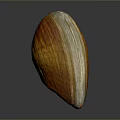 Orange Yellow Striped Shell Shaped Sculpture with Polished Surface and Smooth Texture