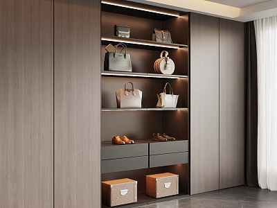 Modern Wooden Wardrobe Interior With Built-in Lighting Shelves Bags Drawers And Storage Boxes 3d model