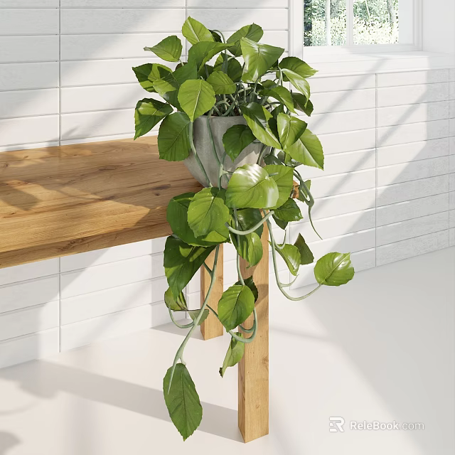 Lush Green Potted Plant With Trailing Vines On Wooden Table Against White Brick Wall 3d model 