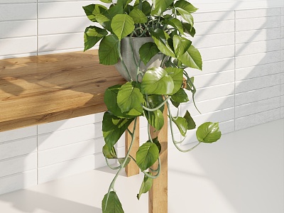 European-style Potted Plant model