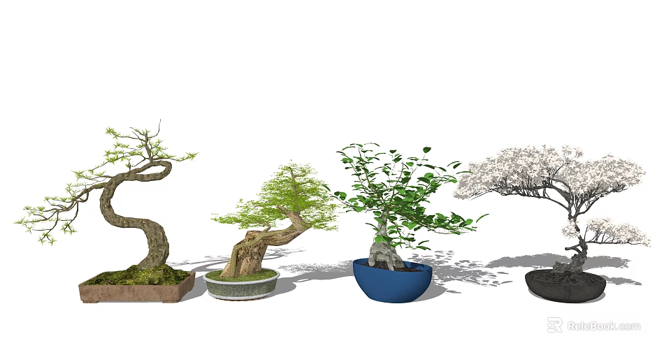 Various Bonsai Plants with Curved Trunks Lush Green Leaves and White Blossoms in Different Pots 3d model 