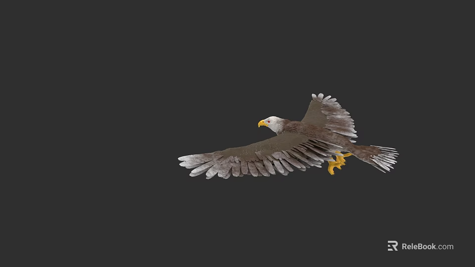 Majestic Bald Eagle Soaring With Spread Wings And Sharp Yellow Talons 3d model 