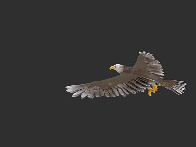 Majestic Bald Eagle Soaring With Spread Wings And Sharp Yellow Talons 3d model