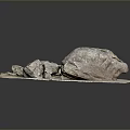 Unique Stone Wood Art Piece With Natural Form And Detailed Texture For Interior Decor