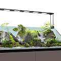 Freshwater Aquarium Setup with Natural Rock Formations Aquatic Plants and LED Lighting